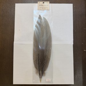 画像3: 【ANGLE】スペックルドフェザント ウィング