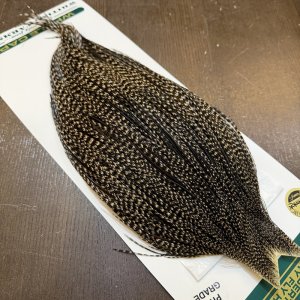 画像4: 【WHITING】Hebert ROOSTER CAPE PRO Grade - Grizzly variant No.2