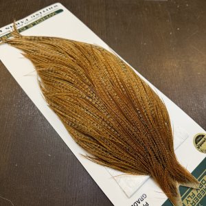 画像4: 【WHITING】Hebert ROOSTER CAPE Pro Grade - BARRED DARK Ginger No.1