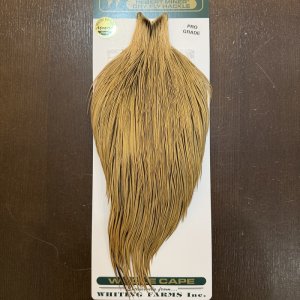 画像1: 【Whiting】Hebert ROOSTER CAPE Pro Grade - Dun Badger