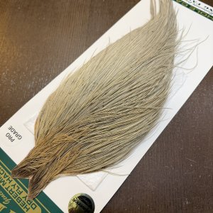 画像4: 【WHITING】Hebert ROOSTER CAPE PRO Grade - LIGHT GREY DUN