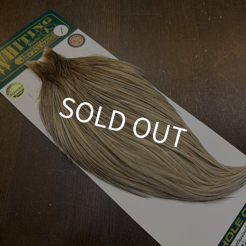 画像2: 【WHITING】Hebert ROOSTER CAPE Bronze Grade - Medium grey dun No.1 (2)