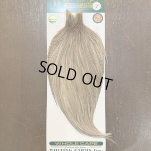 画像1: 【WHITING】Hebert ROOSTER CAPE Bronze Grade - Medium grey dun No.1