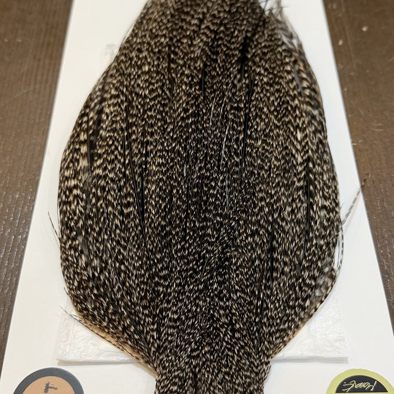 画像5: 【WHITING】Hebert ROOSTER CAPE Bronze Grade - Grizzly No.2 (5)