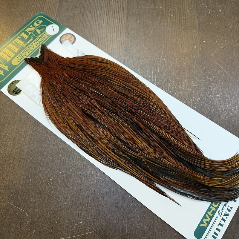 画像2: 【WHITING】Hebert ROOSTER CAPE Bronze grade - Furnace No.1 (2)