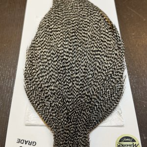 画像5: 【WHITING】Hebert ROOSTER CAPE PRO Grade - Grizzly No.2