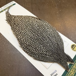 画像4: 【WHITING】Hebert ROOSTER CAPE PRO Grade - Grizzly No.2