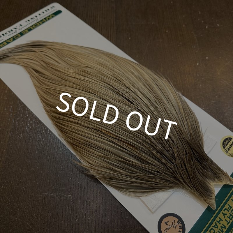 画像4: 【WHITING】Hebert ROOSTER CAPE Bronze Grade - Medium grey dun No.1 (4)