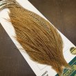画像4: 【WHITING】Hebert ROOSTER CAPE Pro Grade - BARRED Medium Ginger No.1 (4)