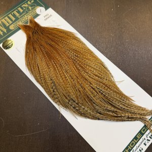 画像2: 【WHITING】Hebert ROOSTER CAPE Pro Grade - BARRED DARK Ginger No.1
