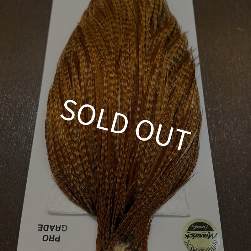 画像5: 【WHITING】Hebert ROOSTER CAPE Pro Grade - BARRED DARK Ginger No.2 (5)