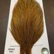 画像5: 【WHITING】Hebert ROOSTER CAPE Pro Grade - BARRED DARK Ginger No.1 (5)
