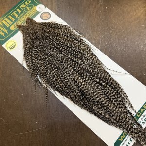 画像2: 【WHITING】Hebert ROOSTER CAPE Bronze Grade - Grizzly No.1
