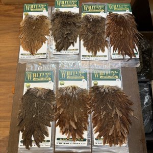 画像1: 【Whiting】HEBERT Hen Saddle - WILD TYPE BROWN