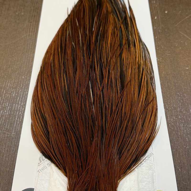 画像5: 【WHITING】Hebert ROOSTER CAPE Bronze grade - Furnace No.1 (5)