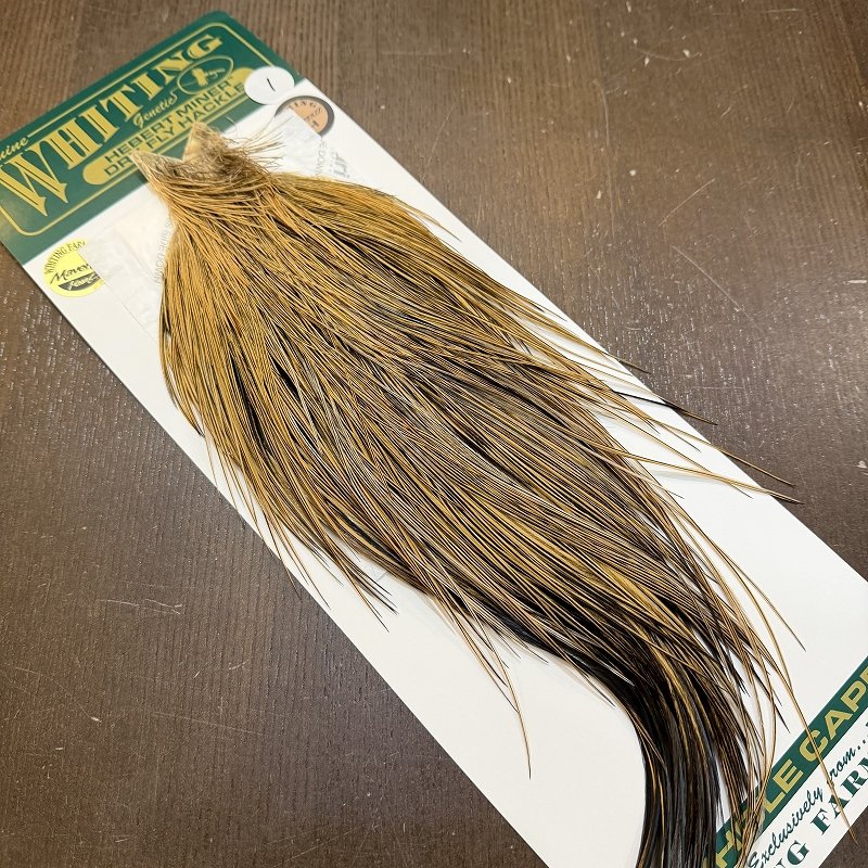 画像2: 【Whiting】Hebert ROOSTER CAPE Bronze Grade - GOLDEN BADGER No.1 (2)