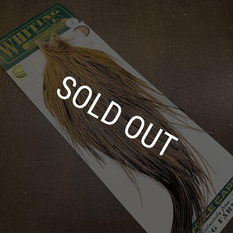 画像2: 【Whiting】Hebert ROOSTER CAPE Bronze Grade - GOLDEN BADGER No.1 (2)