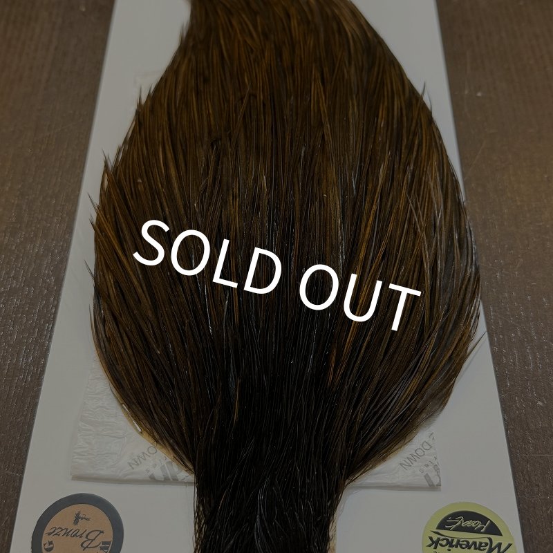 画像5: 【WHITING】Hebert Bronze Grade Cape - DARK BROWN DUN (5)