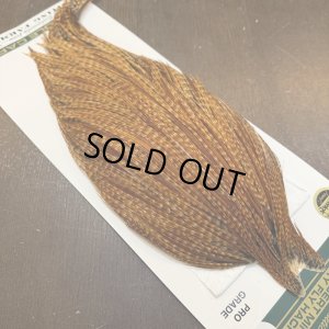 画像4: 【WHITING】Hebert ROOSTER CAPE Pro Grade - BARRED DARK Ginger No.2