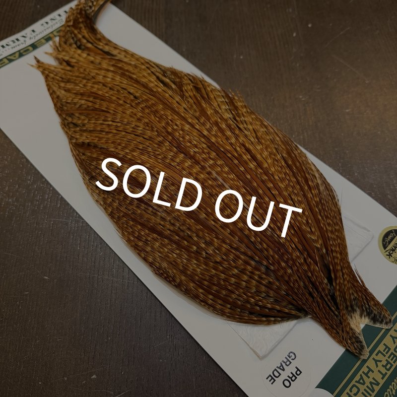 画像4: 【WHITING】Hebert ROOSTER CAPE Pro Grade - BARRED DARK Ginger No.2 (4)