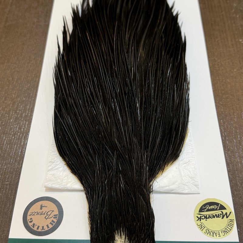 画像5: 【WHITING】Hebert Bronze Grade Cape NA Black No.1 (5)