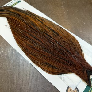 画像4: 【WHITING】Hebert ROOSTER CAPE Bronze grade - Furnace No.1