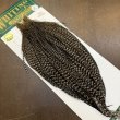 画像2: 【WHITING】Hebert ROOSTER CAPE PRO Grade - Grizzly variant No.2 (2)