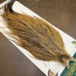 画像4: 【Whiting】Hebert ROOSTER CAPE Bronze Grade - GOLDEN BADGER No.1 (4)