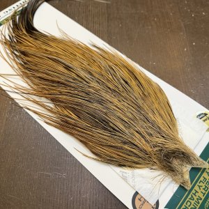 画像4: 【Whiting】Hebert ROOSTER CAPE Bronze Grade - GOLDEN BADGER No.1