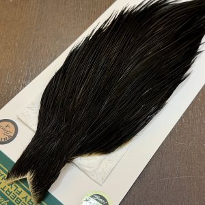 画像3: 【WHITING】Hebert Bronze Grade Cape NA Black No.1