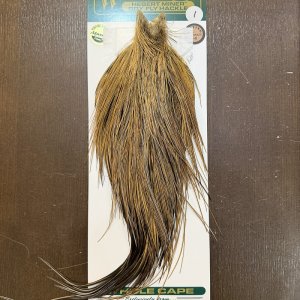 画像1: 【Whiting】Hebert ROOSTER CAPE Bronze Grade - GOLDEN BADGER No.1