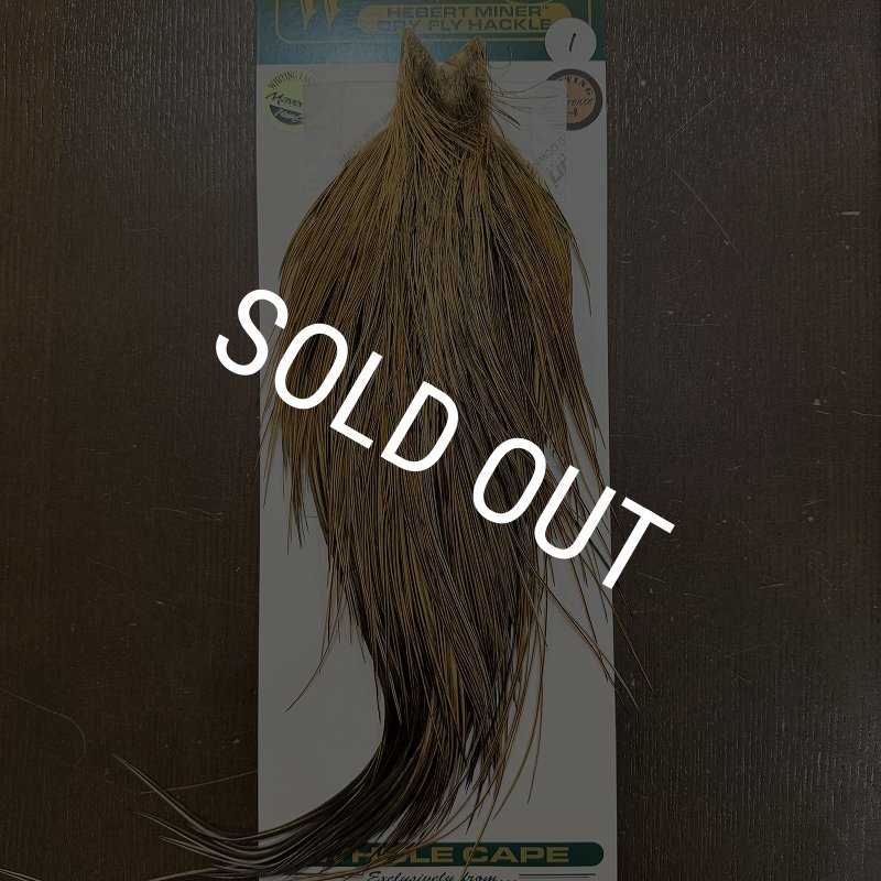 画像1: 【Whiting】Hebert ROOSTER CAPE Bronze Grade - GOLDEN BADGER No.1 (1)