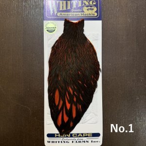 画像1: 【WHITING】American Hen Cape BLW/ORANGE