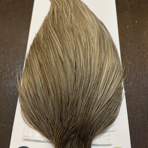 画像5: 【WHITING】Hebert ROOSTER CAPE Bronze Grade - Medium grey dun No.1