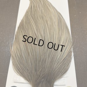 画像5: 【WHITING】Hebert ROOSTER CAPE Bronze Grade - Medium grey dun No.1