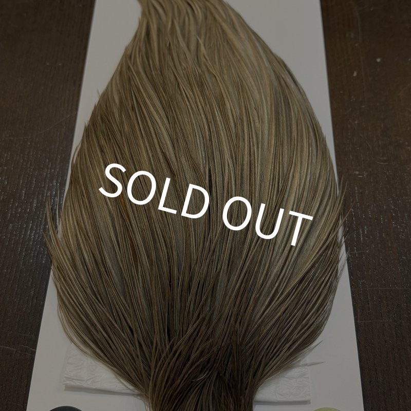 画像5: 【WHITING】Hebert ROOSTER CAPE Bronze Grade - Medium grey dun No.1 (5)