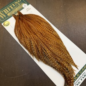 画像2: 【WHITING】Hebert ROOSTER CAPE Pro Grade - BARRED DARK Ginger No.2