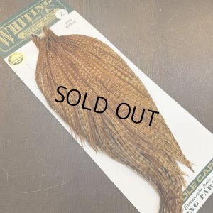 画像2: 【WHITING】Hebert ROOSTER CAPE Pro Grade - BARRED DARK Ginger No.2