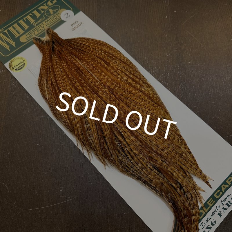 画像2: 【WHITING】Hebert ROOSTER CAPE Pro Grade - BARRED DARK Ginger No.2 (2)