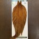 【WHITING】Hebert ROOSTER CAPE Pro Grade - BARRED DARK Ginger No.2