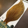 画像3: 【WHITING】Hebert ROOSTER CAPE Pro Grade - BARRED DARK Ginger No.1 (3)