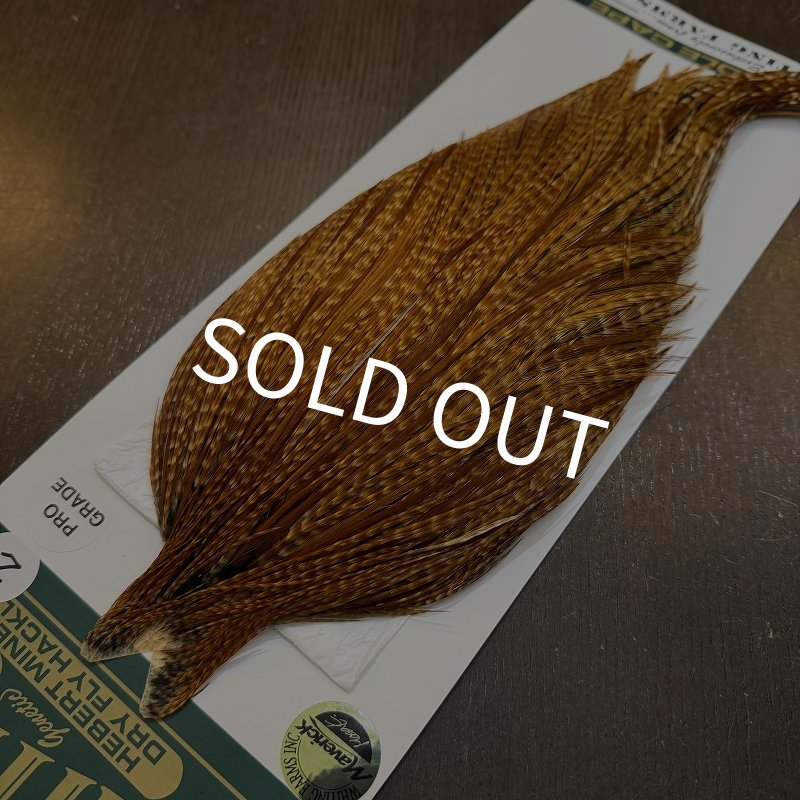 画像3: 【WHITING】Hebert ROOSTER CAPE Pro Grade - BARRED DARK Ginger No.2 (3)