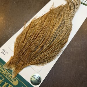 画像3: 【WHITING】Hebert ROOSTER CAPE Pro Grade - BARRED Medium Ginger No.1