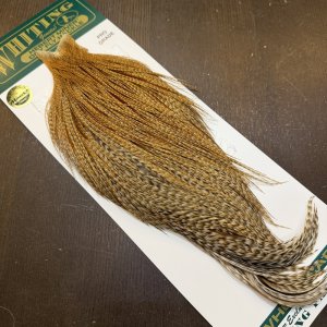 画像2: 【WHITING】Hebert ROOSTER CAPE Pro Grade - BARRED Medium Ginger No.1