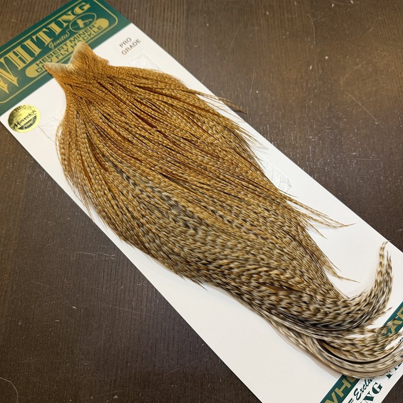 画像2: 【WHITING】Hebert ROOSTER CAPE Pro Grade - BARRED Medium Ginger No.1 (2)