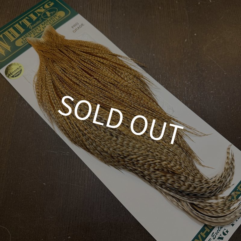 画像2: 【WHITING】Hebert ROOSTER CAPE Pro Grade - BARRED Medium Ginger No.1 (2)