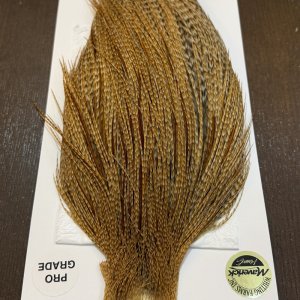 画像5: 【WHITING】Hebert ROOSTER CAPE Pro Grade - BARRED Medium Ginger No.1