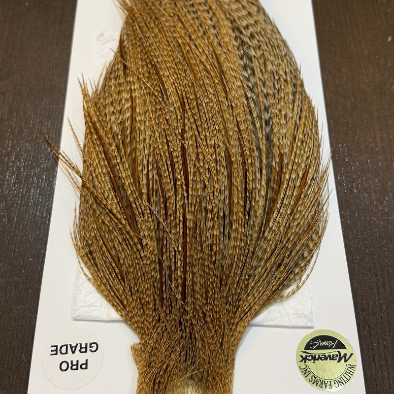 画像5: 【WHITING】Hebert ROOSTER CAPE Pro Grade - BARRED Medium Ginger No.1 (5)