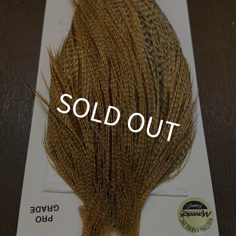 画像5: 【WHITING】Hebert ROOSTER CAPE Pro Grade - BARRED Medium Ginger No.1 (5)