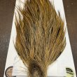 画像5: 【Whiting】Hebert ROOSTER CAPE Bronze Grade - GOLDEN BADGER No.1 (5)